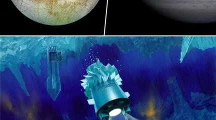 NASA поручило микробиологу выяснить, как выглядят… инопланетяне NASA поручило микробиологу выяснить, как выглядят… инопланетяне