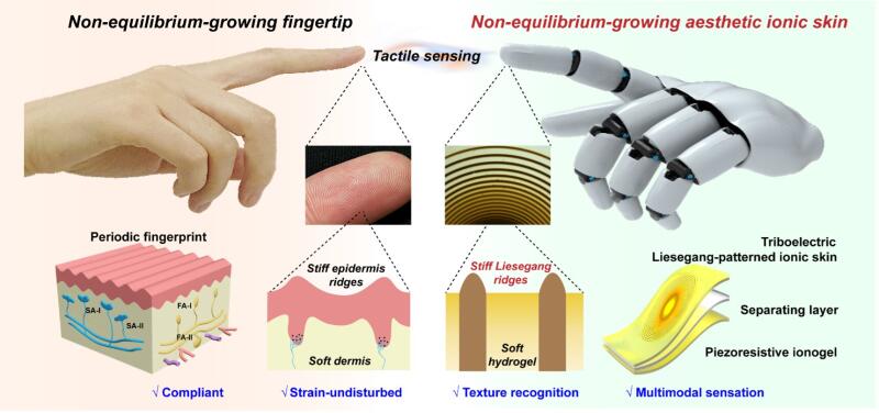 Ионная кожа может дать роботам тактильные ощущения и возможности распознавания текстуры