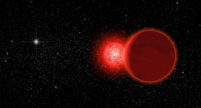 Маленькая звезда и ее коричневый спутник удивили астрономов