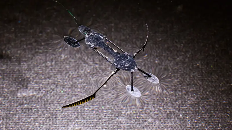 Новые роботы-насекомые претендуют на звание самых маленьких, лёгких и быстрых