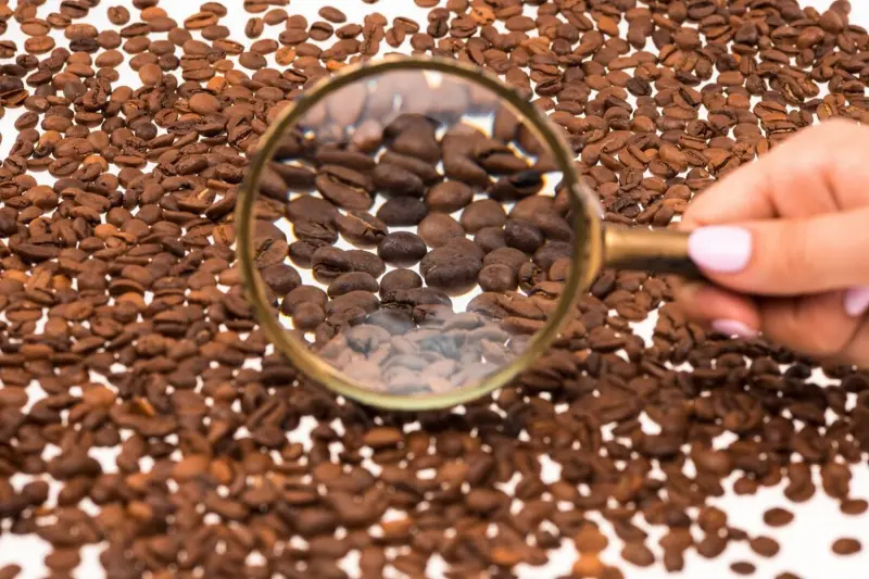 На фабрике кофе собрали микс по рекомендации ИИ