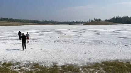 Что скрывает Последний Шанс?