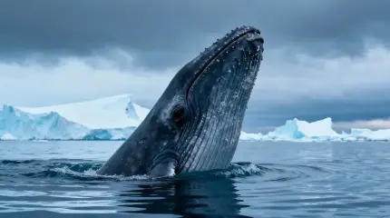 Русская ученая считает, что это животное поможет людям... жить 200 лет