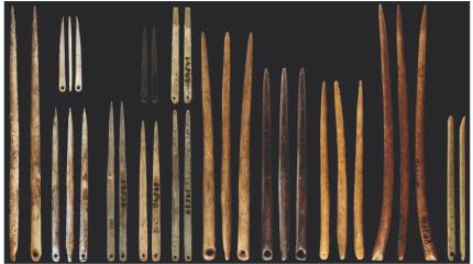 100 000-летняя загадка: ученые назвали предмет, благодаря которому люди сумели заселить всю планету