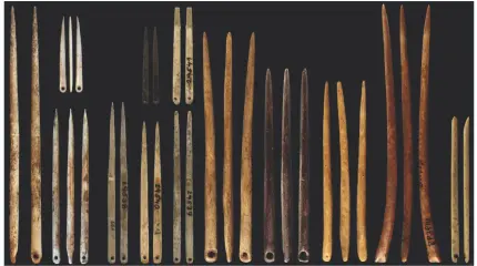 100 000-летняя загадка: ученые назвали предмет, благодаря которому люди сумели заселить всю планету