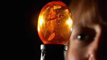 Главная идея фильма «Парк юрского периода», которую наука считала фантастикой, оказалась очень даже реальной