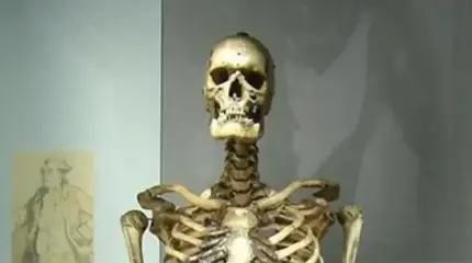 Почему ирландский великан, умерший 250 лет назад, никак не может обрести покой? Почему ирландский великан, умерший 250 лет назад, никак не может обрести покой?