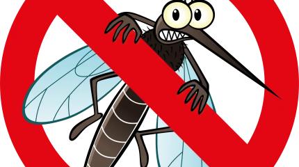 Невероятно, но факт: на планете все еще существует страна без комаров Невероятно, но факт: на планете все еще существует страна без комаров