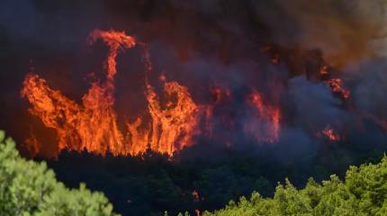 Эксперты предупреждают: Европа стоит прямо на пороге ужасных пожаров