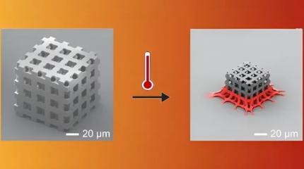 Созданы материалы для микроскопической 3D-печати с более точной усадкой