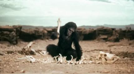 Она нам больше не праматерь! Почему легендарную Люси могут «изгнать» из числа наших предков?