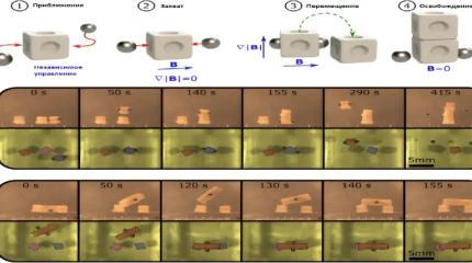 Исследователи разработали магнитных микророботов для создания объектов в трёхмерной среде