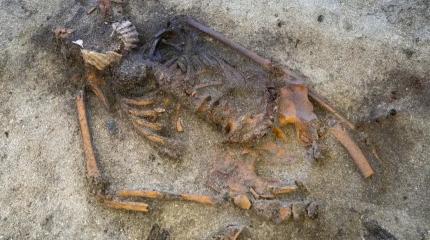 Археологи в недоумении: Женщина эпохи викингов была похоронена с ракушками во рту