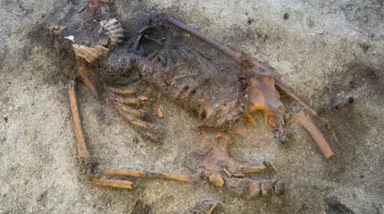 Археологи в недоумении: Женщина эпохи викингов была похоронена с ракушками во рту