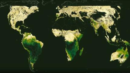 Спутники 20 лет следили за планетой и нашли «климатические хроноаномалии»