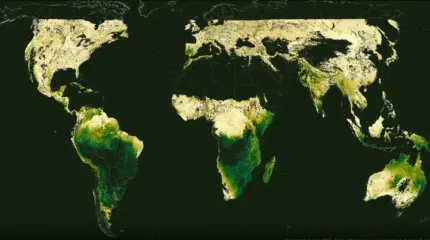 Спутники 20 лет следили за планетой и нашли «климатические хроноаномалии»