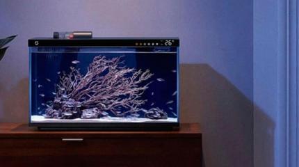 Китайский технологический гигант Xiaomi сделал умный аквариум Mijia Smart Fish Tank