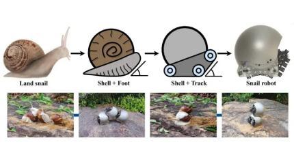Новинки из Гонконга: роботы-улитки ездят, как танки
