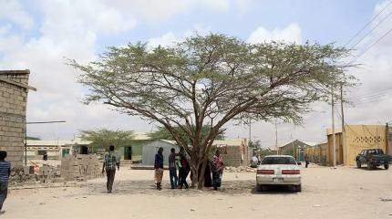 На политических картах не значится: как живет самое непризнанное государство на планете?