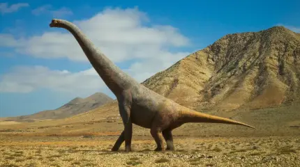 Жители китайской деревни 20 лет подряд ели… самого большого динозавра в Азии