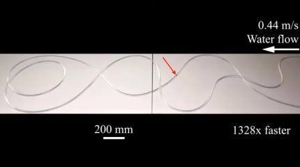 Миниатюрного робота научили эффективно перемещаться в трубах с водой
