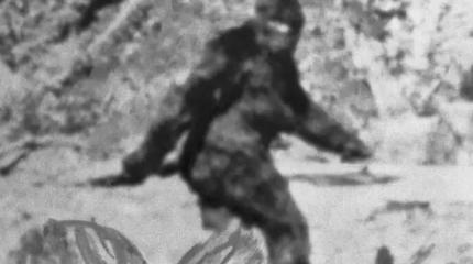 ФБР опубликовало официальный отчет о снежном человеке