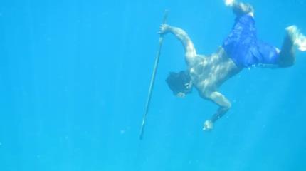 Разгадан секрет непревзойденных индонезийских ныряльщиков-баджо: они «прокачали» секретный внутренний орган