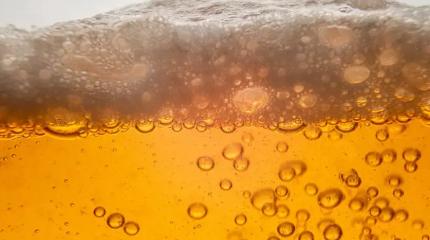 Алкогольная цивилизация: древние люди освоили земледелие... ради пива