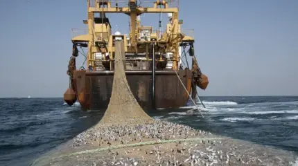 Немедленно запретить «украинский» трал в Азовском море: почему российские ученые предлагают вернуться к советским технологиям?