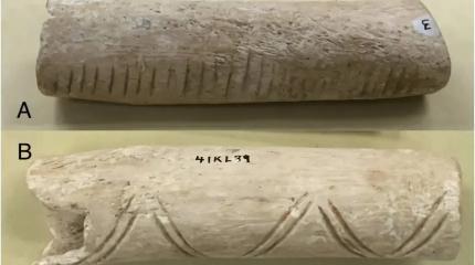 Древние жители Техаса делали музыкальные инструменты из останков людей