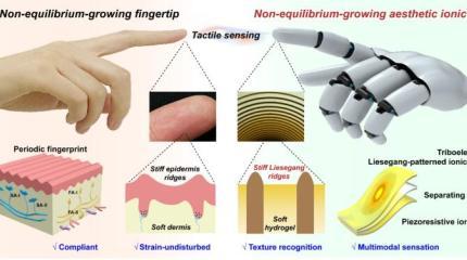Ионная кожа может дать роботам тактильные ощущения и возможности распознавания текстуры
