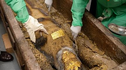 Мумия персидской принцессы чуть не вызвала «войну» между тремя государствами