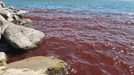 Галилейское море в Израиле таинственным образом окрасилось в кроваво-красный цвет