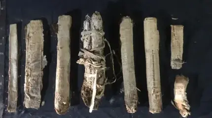 Почему никак не вскроют 3000-летние папирусы, найденные в Египте?