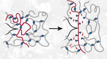 Парадоксальный сюрприз: более слабые связи сделали полимеры в 10 раз прочнее