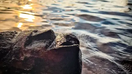 Водолазы исследовали озеро в Польше и случайно наткнулись на жуткое древнее лицо