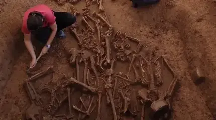 7000-летняя загадка: полный ров обезглавленных скелетов обнаружен в Словакии