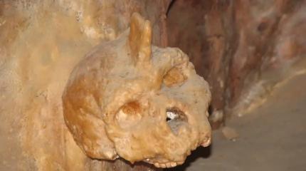 Таинственный 300 000-летний череп из греческой пещеры не принадлежал ни человеку, ни неандертальцу. Но кому тогда? Таинственный 300 000-летний череп из греческой пещеры не принадлежал ни человеку, ни неандертальцу. Но кому тогда?