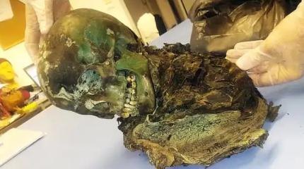 Тайна изумрудной мумии, не дававшей покоя ученым 38 лет, наконец-то разгадана! Тайна изумрудной мумии, не дававшей покоя ученым 38 лет, наконец-то разгадана!