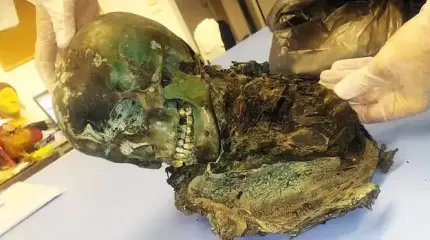 Тайна изумрудной мумии, не дававшей покоя ученым 38 лет, наконец-то разгадана! Тайна изумрудной мумии, не дававшей покоя ученым 38 лет, наконец-то разгадана!