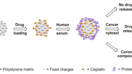 Отечественная инновационная наноплатформа для доставки лекарств способствует более мягкой терапии рака