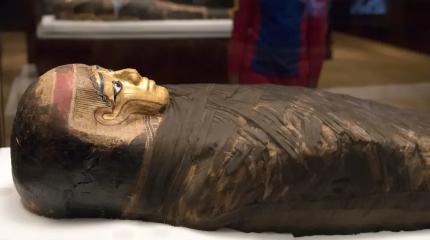 Зачем ученые массово «обнюхивают» древнеегипетские мумии?