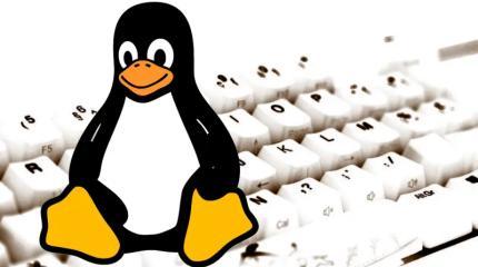 Linux достигла рекордно высокого уровня в 3% от доли настольных ПК