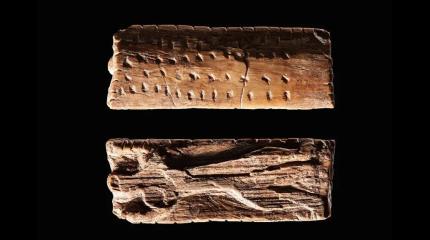 Найдена древнейшая в истории письменность: она на десятки тысяч лет старше Шумера и Древнего Египта