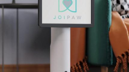 Игровую консоль для собак выпустила компания Joipaw