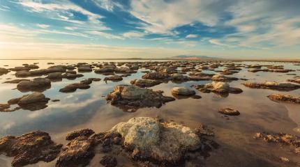 Мощнее леса в десятки раз: в ЮАР нашли «живые камни», которые выкачивают CO₂ с бешеной скоростью