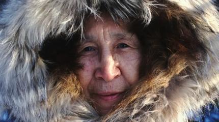 Удивительная суперспособность помогла человечеству пережить последний ледниковый период