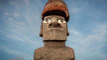 Секрет истуканов острова Пасхи наконец-то разгадан: ученые считают, что от них зависело… выживание древнего народа
