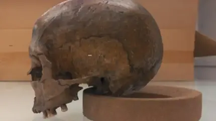 ДНК-детектив: Российские генетики «разговорили» древний череп, найденный полтора века назад в Старой Рязани