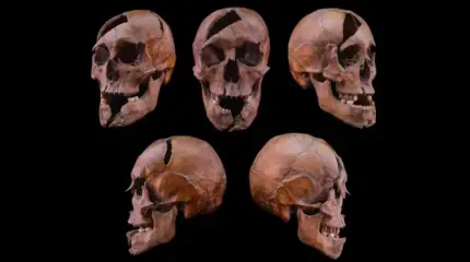 26 ран и 750 лет молчания: Анализ ДНК раскрыл тайну очень жестокого убийства русского князя в Будапеште